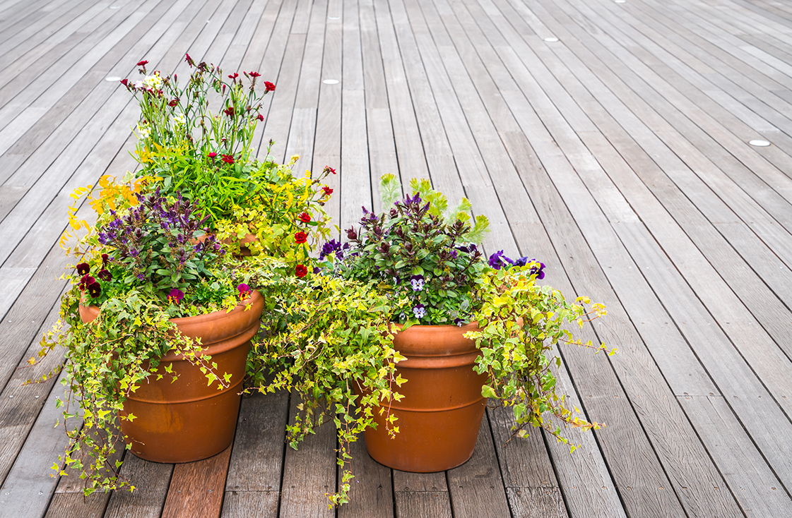 decking in a garden