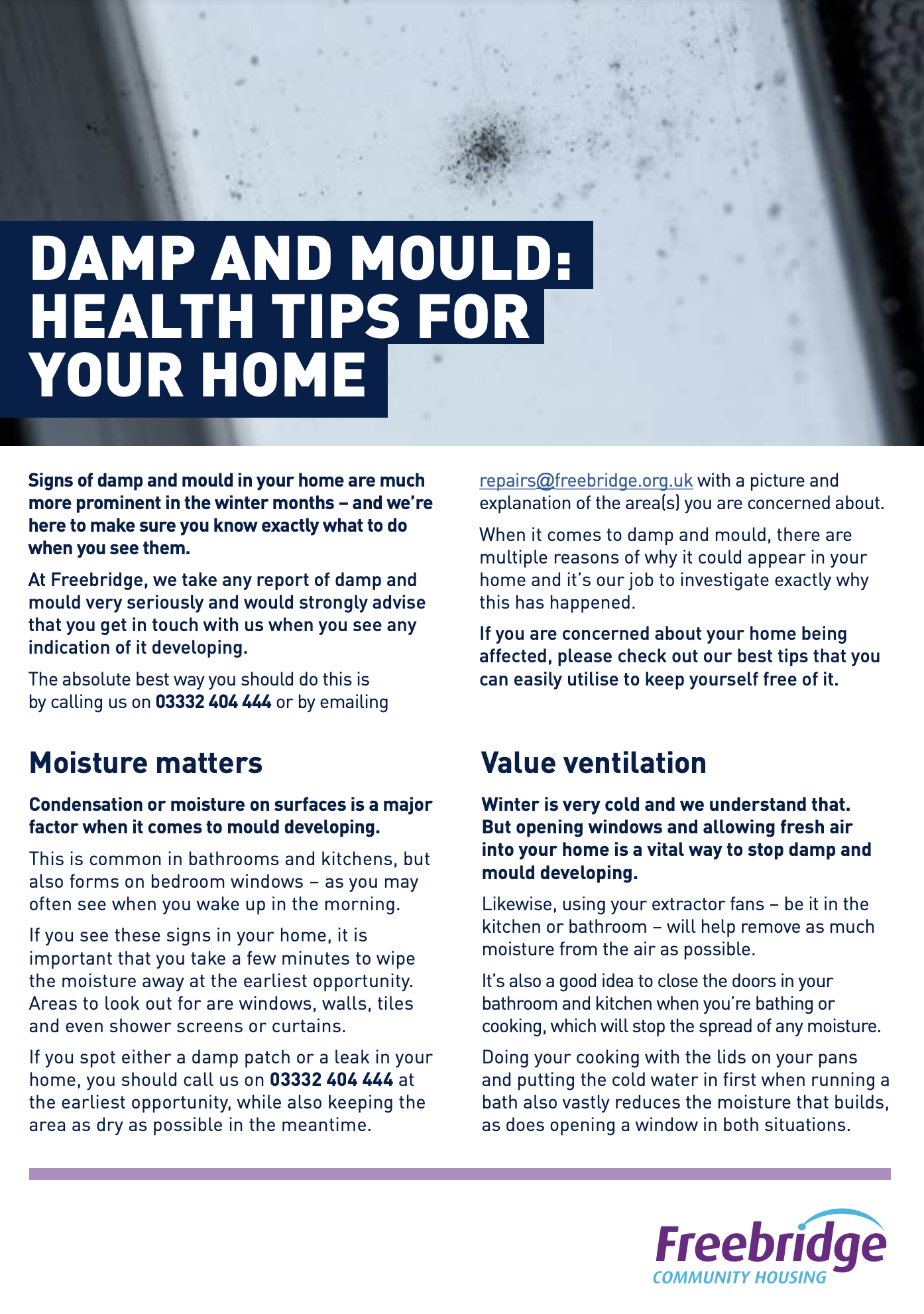 Cover of damp and mould leaflet